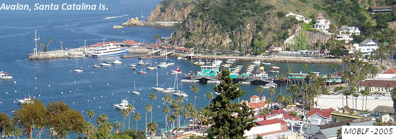 Avalon Harbour, Santa Catalina