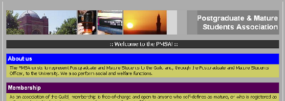Screenshot of the PMSA website