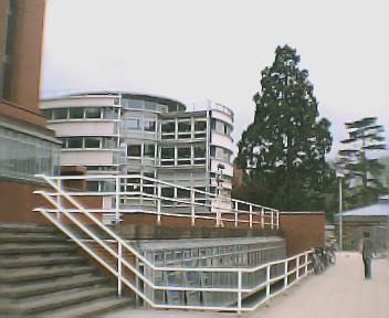 Divinity Faculty