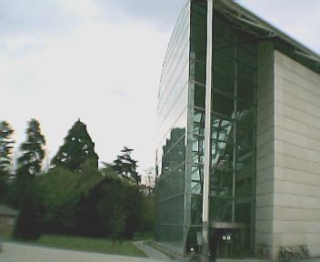 Law Faculty