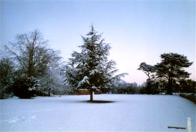 Girton College in the snow