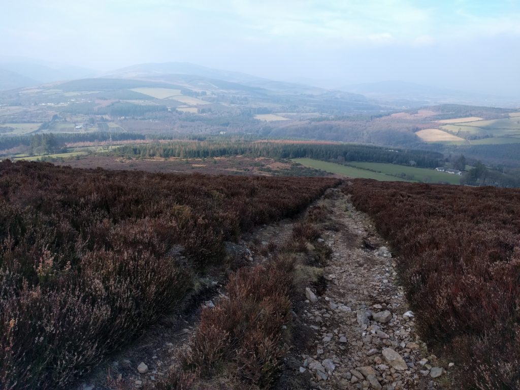 Loose stone path rising through heather