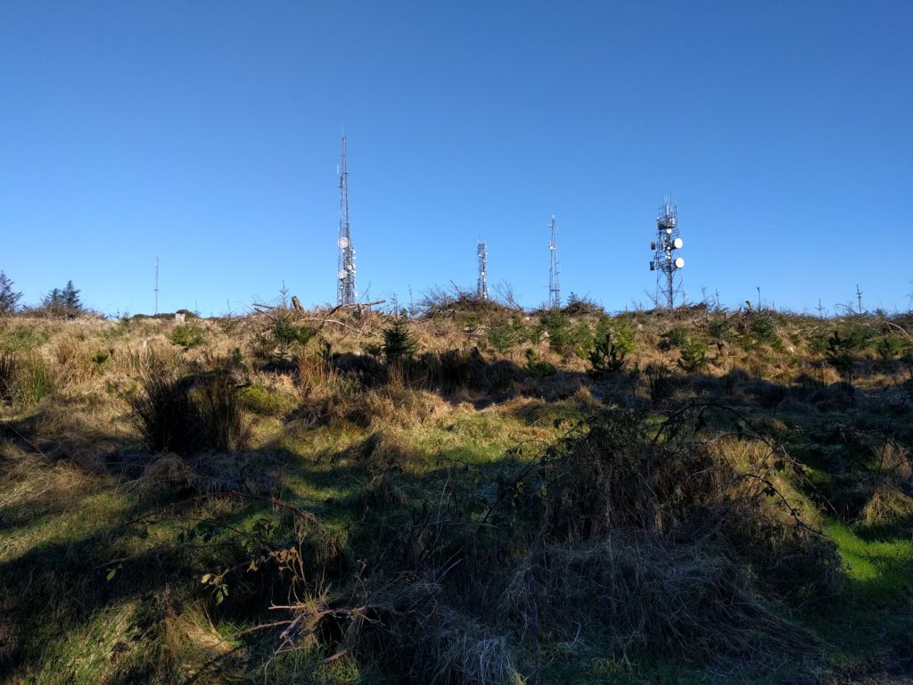 Cut down forest revealing masts with microwave dishes behind