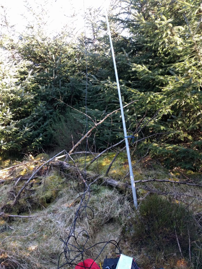 My fibreglass mast in a small clearing in the woods