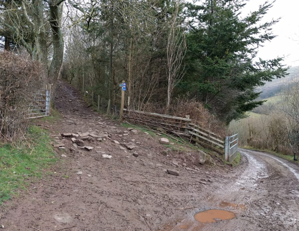 Mud and stone path