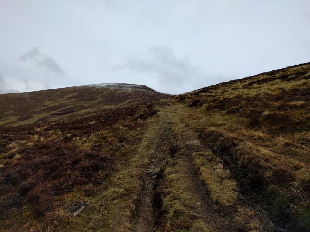 Muddy rutted path over moorland