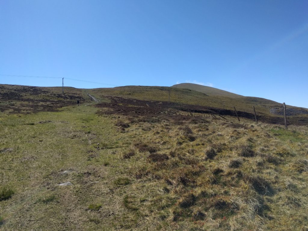 Slightly uphill grass path 