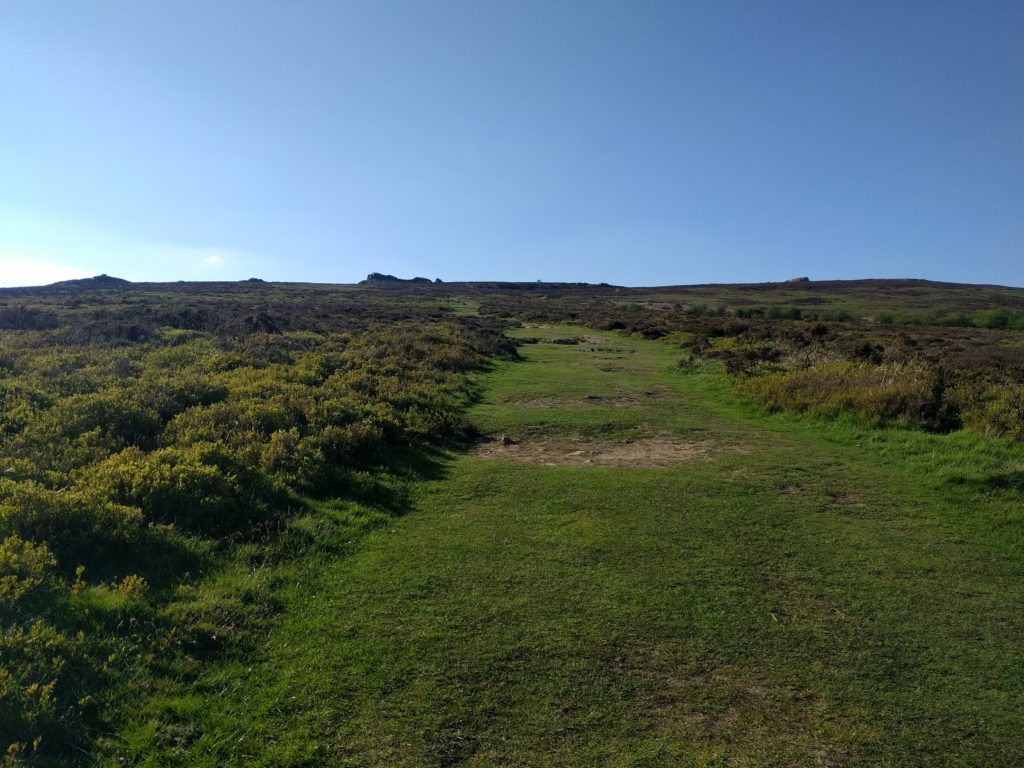 Grass path through gorse towards stones in distance