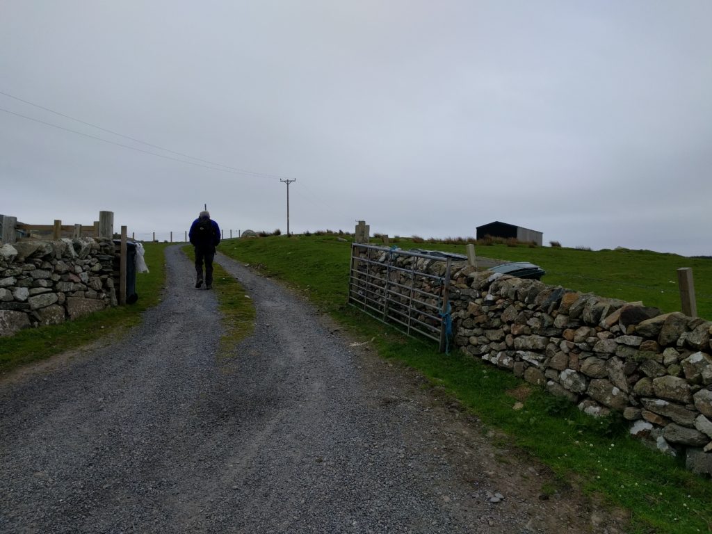 Gravel track through gate