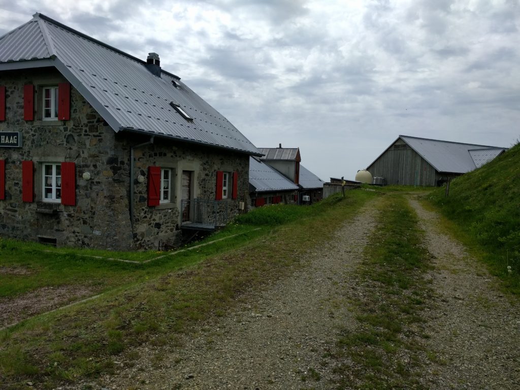 Track beside farm buildings