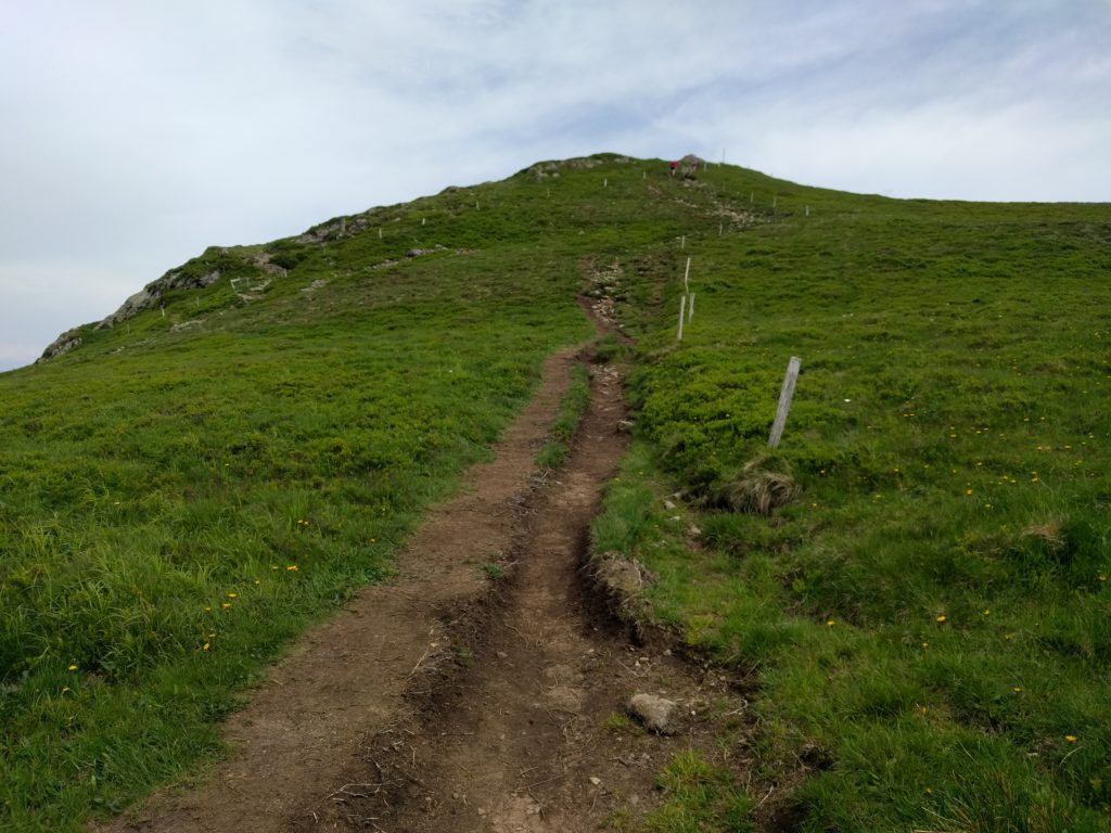 Path up the hill