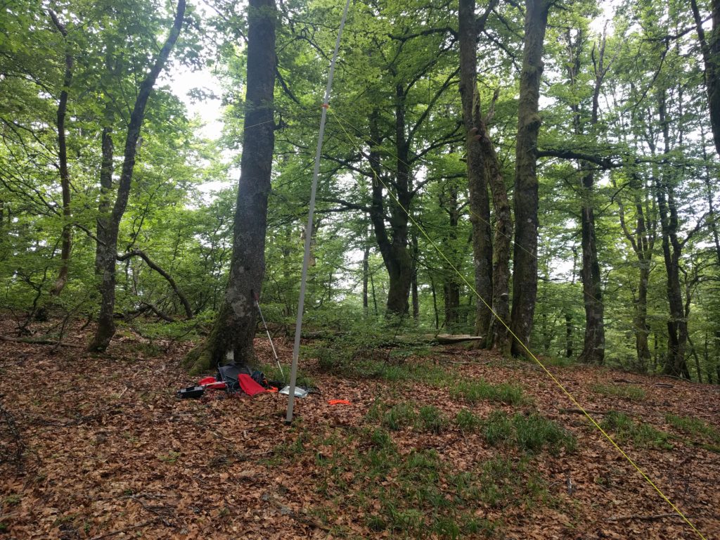 Aerial mast set up in the forest