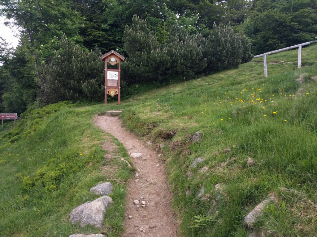 Gentle path with wooden signpost