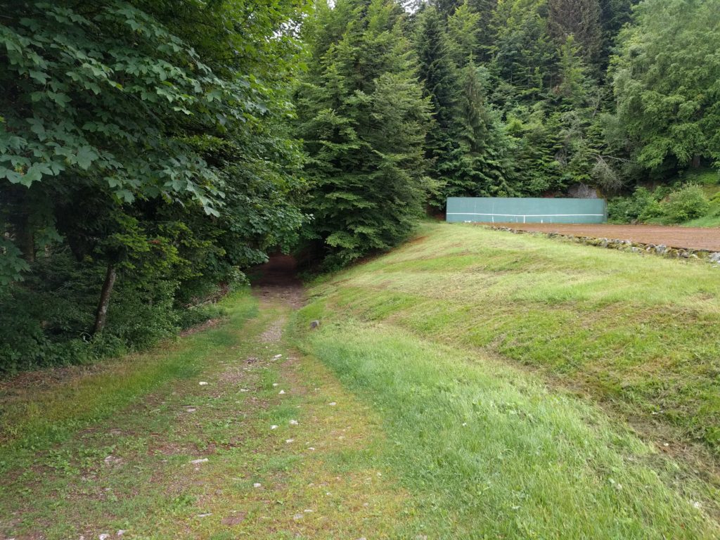Trees on the left, wide grassy path in the middle, edge of tennis court on the right