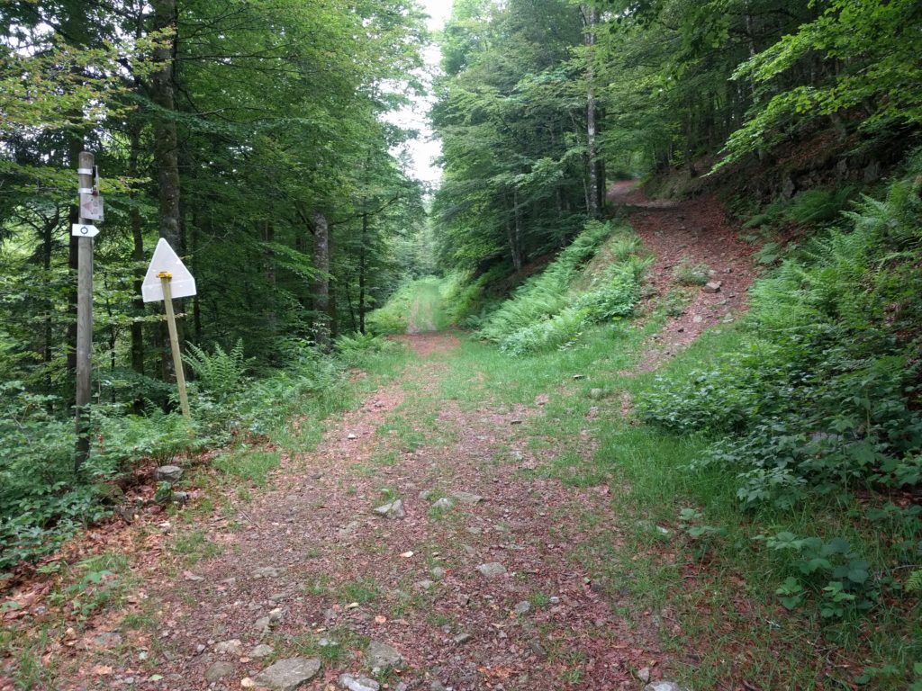 Path splitting under trees