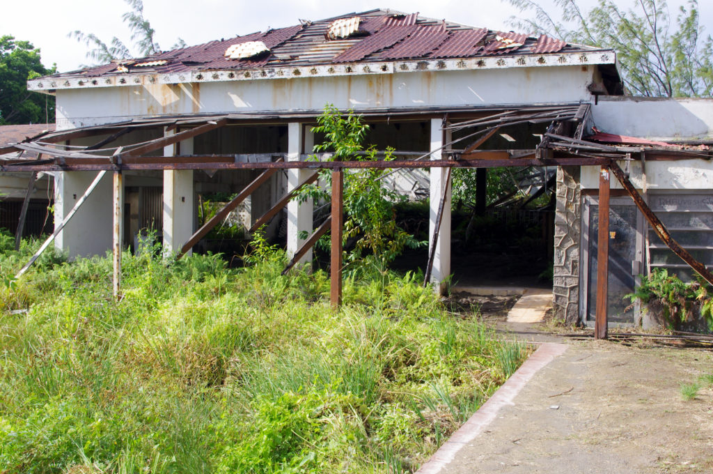 Shell of a building and grass growing in pool